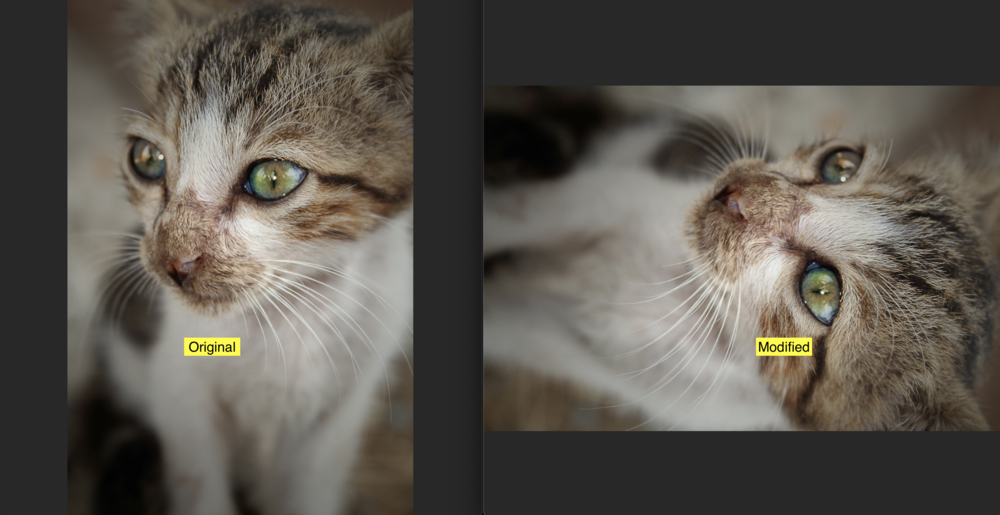 comparison of image before and after rotating