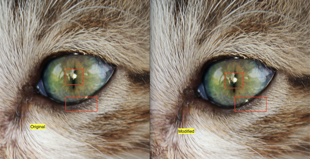 comparison of image before and after sharpening