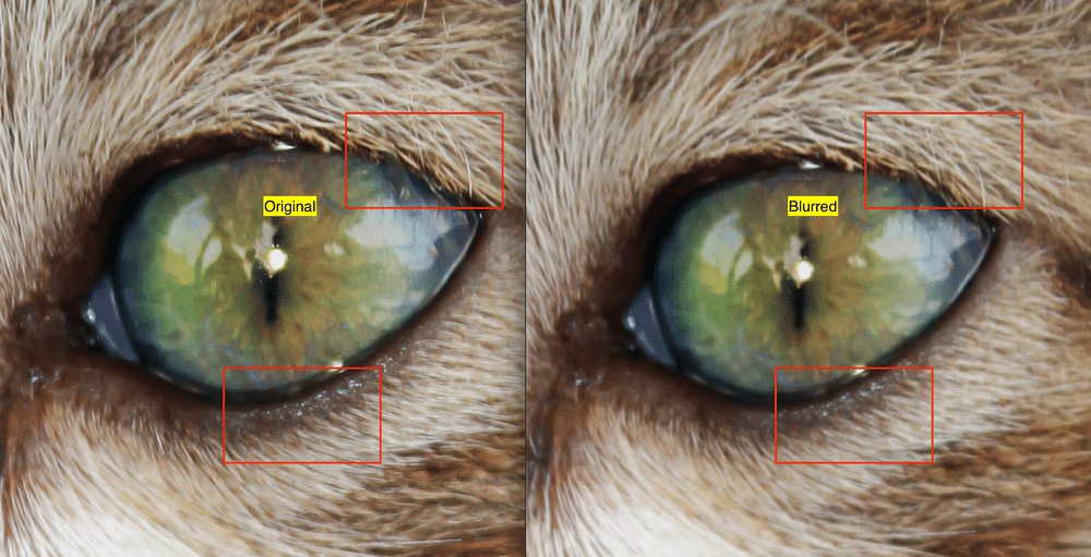 comparison of image before and after blurring