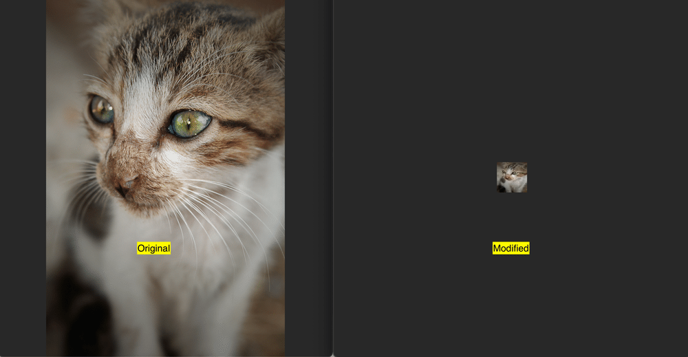 comparison of image before and after thumbnailing