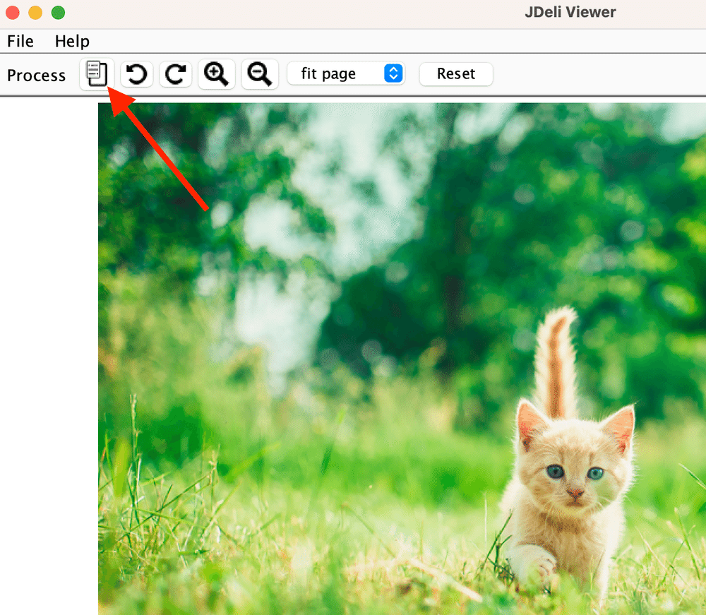 image metadata in JDeli image viewer