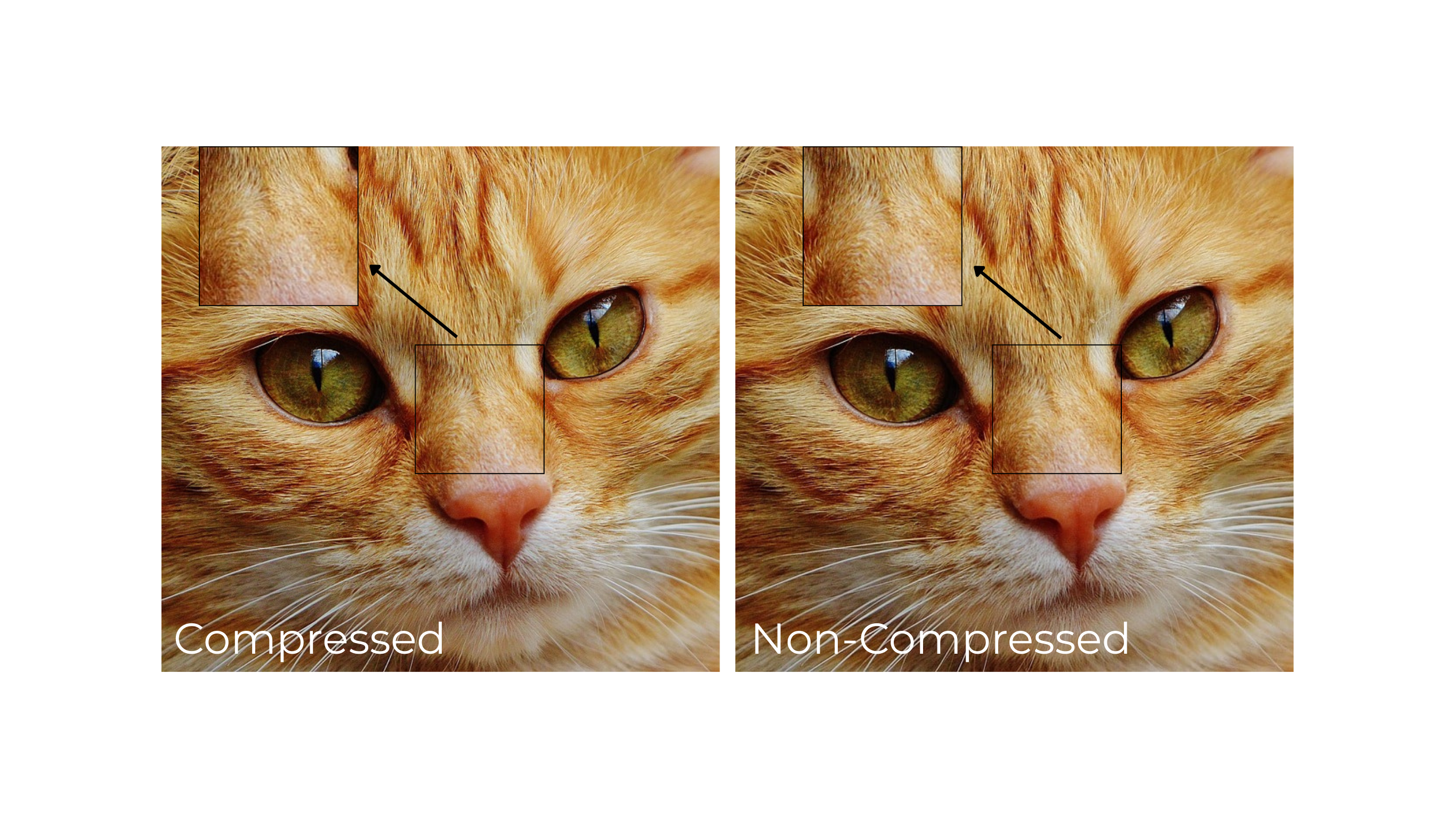 JPEG compression