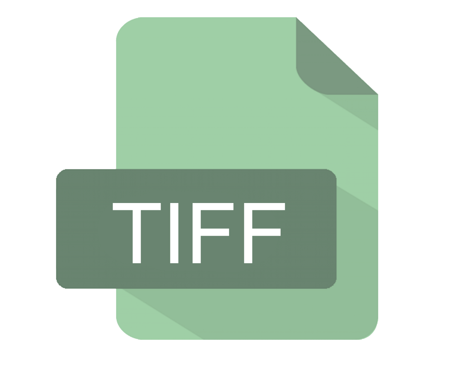 TIFF Logo