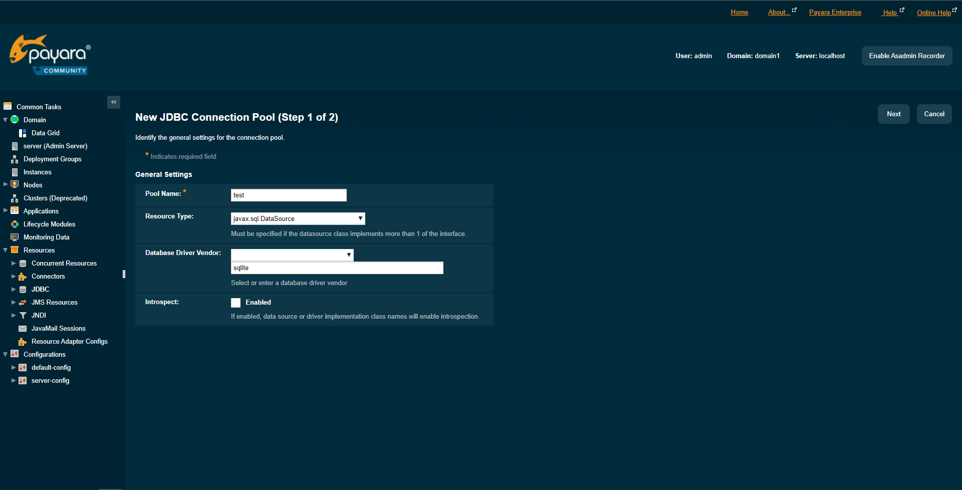 The Payara JDBC New Connection Pool page